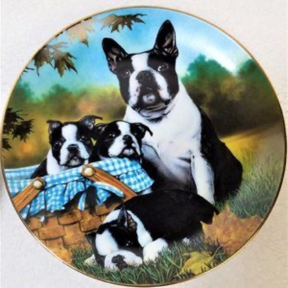 Beautiful, Limited Edition, Danbury Mint Boston Terrier, "Family Fun" plate